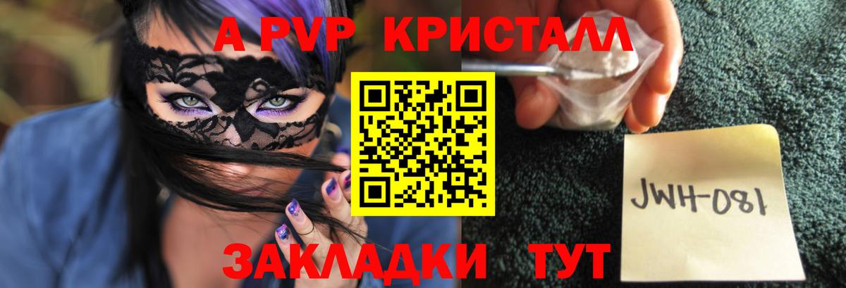 Гатчина  Alpha PVP СК  наркотики  Alpha-PVP крисы CK  A PVP крисы CK  Вход с VPN 