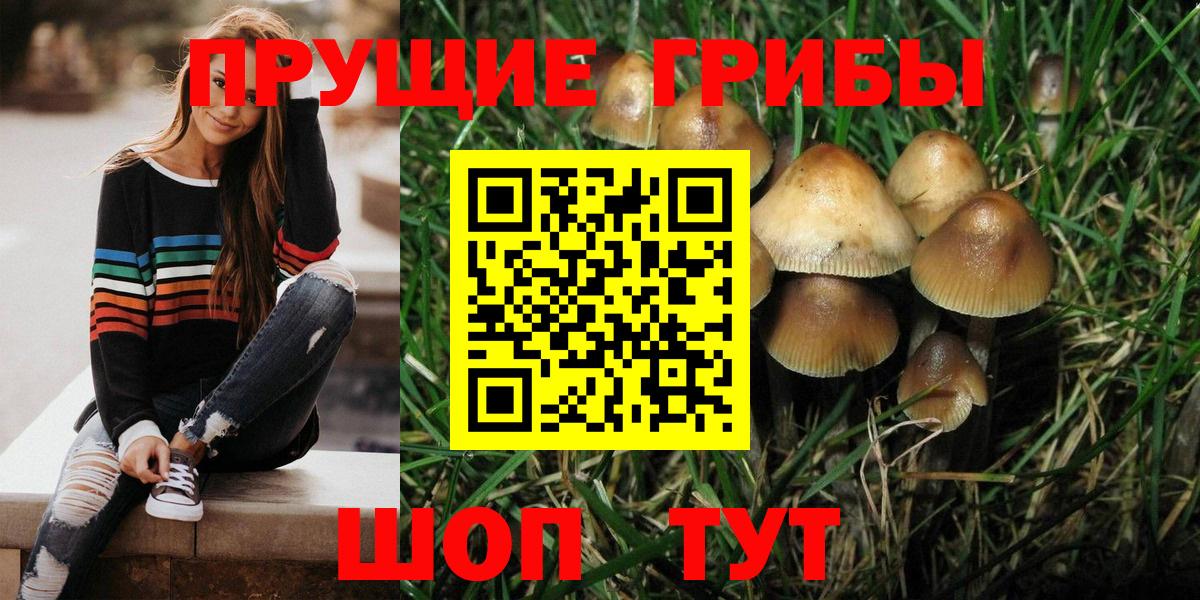 Псилоцибиновые грибы Magic Shrooms Гатчина