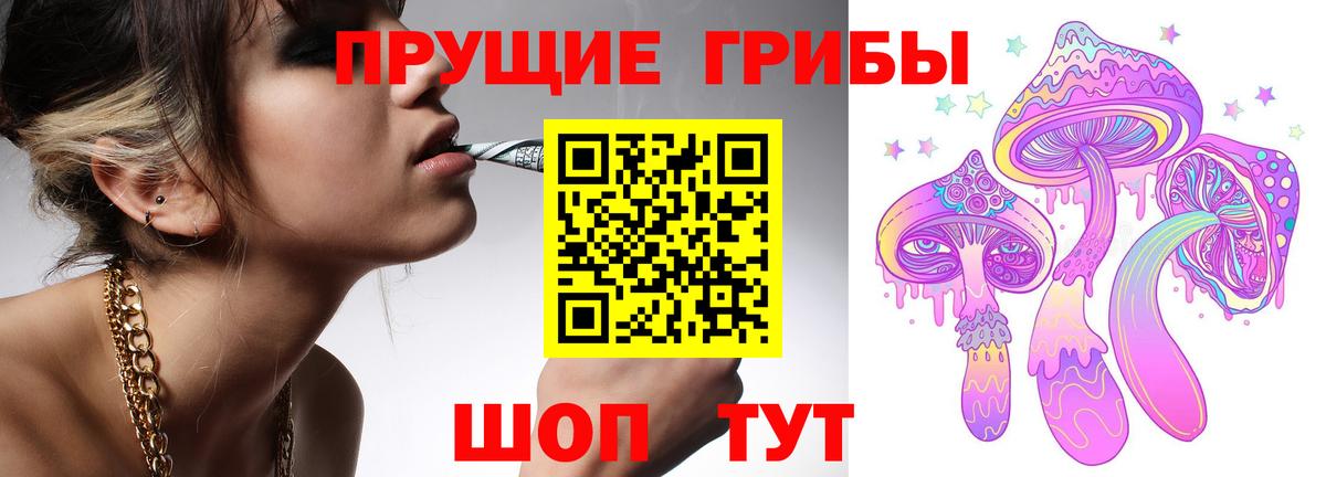 Гатчина  Псилоцибиновые грибы мухоморы  Псилоцибиновые грибы мухоморы  Вход с VPN 